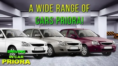 Screenshot di Driving In Car Priora