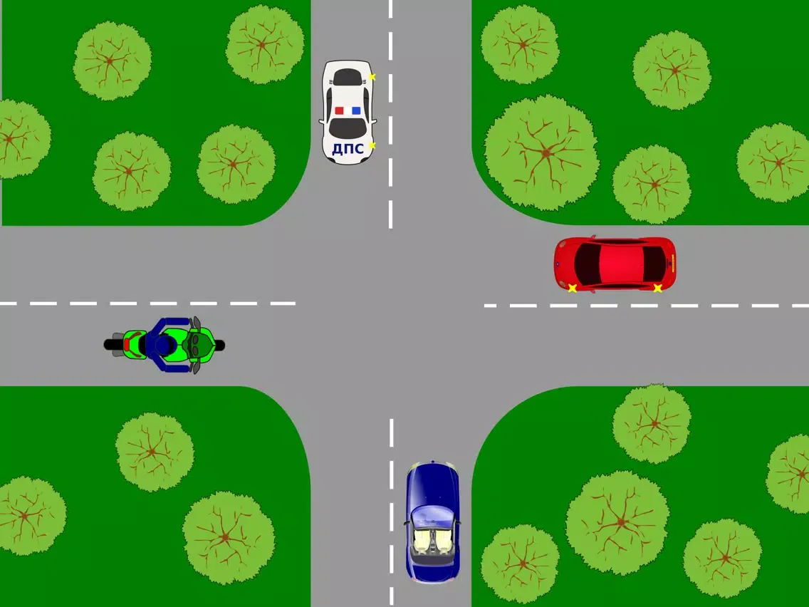 Driver Test: Crossroads iPad  স্ক্রিনশট