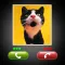 Fake Call Cat Prank