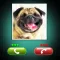 Fake Call Dog Prank