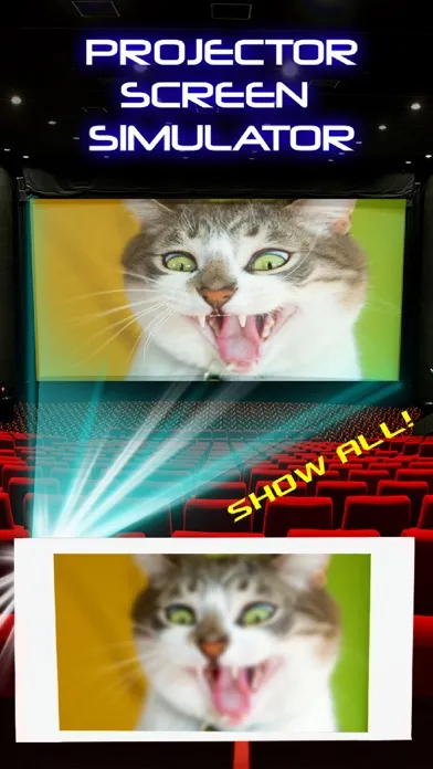 ภาพหน้าจอของ Projector Screen Simulator