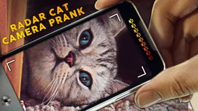 Capturas de tela do Radar Cat Camera Prank