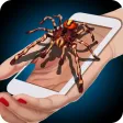 Spider Hand Funny Prank Spider Hand Funny Prank