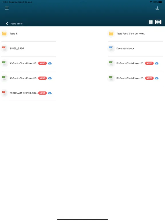 صور WPA iPad 