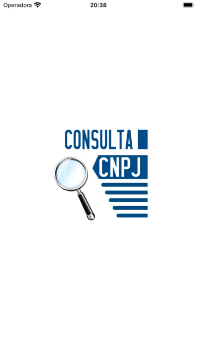 Consulta CNPJ - 2024 Ekran Görüntüleri