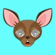 Animated Chocolate Chihuahua Animated Chocolate Chihuahua