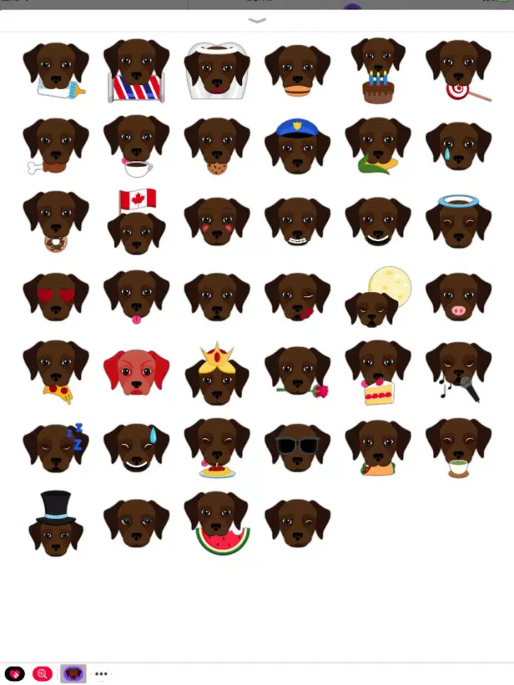 Animated Dark Chocolate Lab iPad  Screenshots