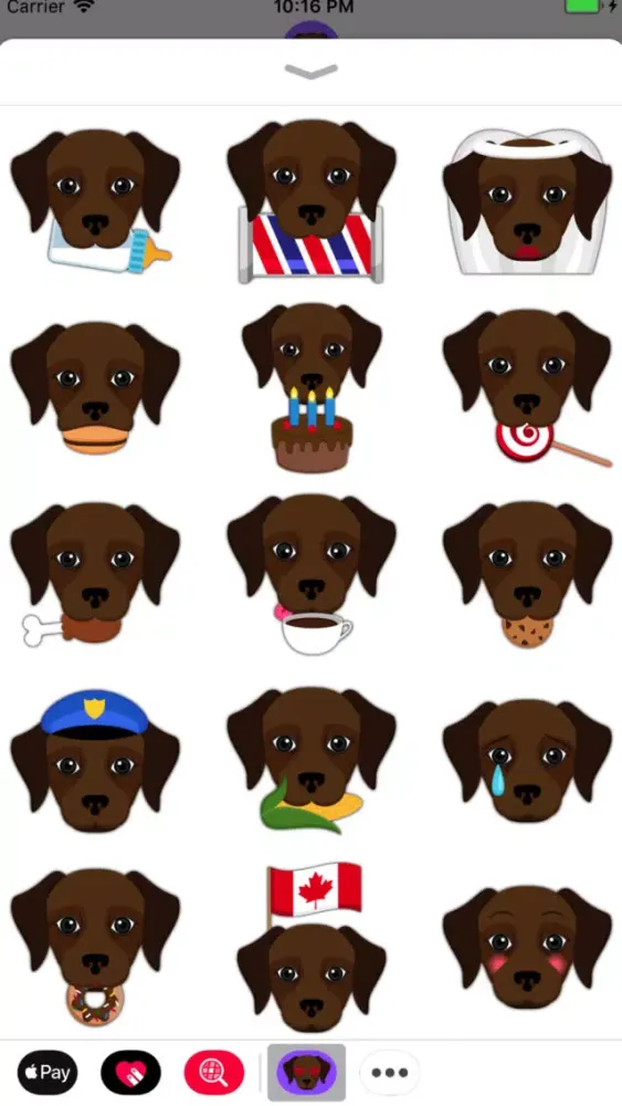 Animated Dark Chocolate Lab Screenshots