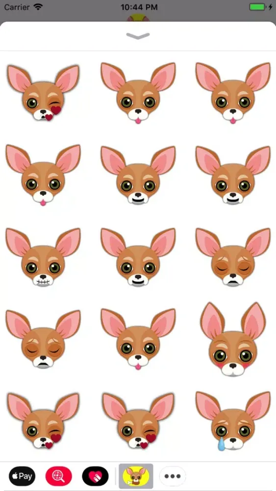 Animated Tan Chihuahua Screenshots