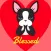 Looking Forward to Blessings - Boston Terrier