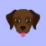 Dark Chocolate Labrador Photo Booth