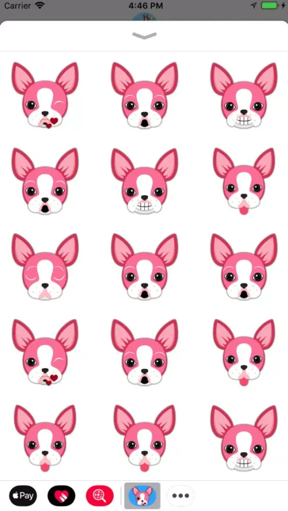Animated VDay Boston Terrier Ekran Görüntüleri