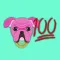 Blinged Out Pink Bulldog