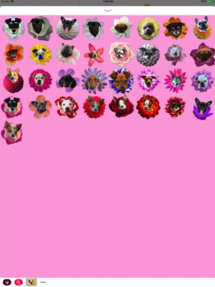 Capturas de pantalla de Puppy Bouquet iPad 