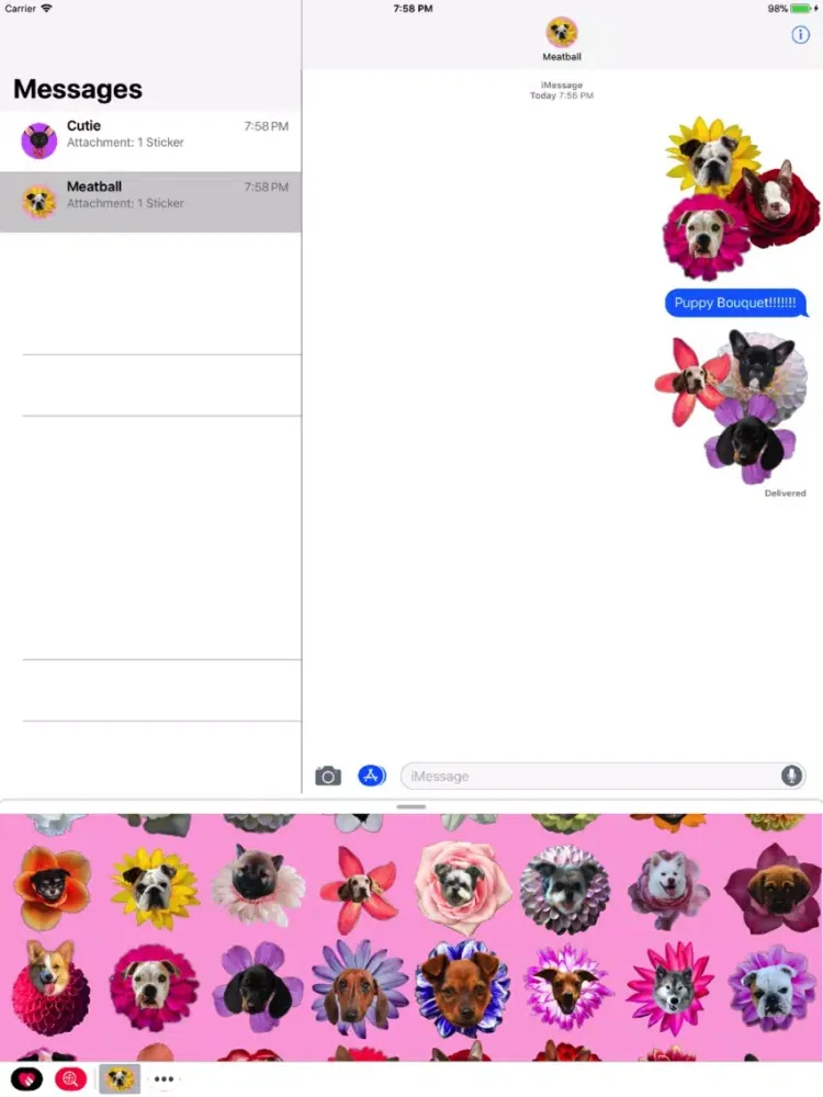 Capturas de pantalla de Puppy Bouquet iPad 