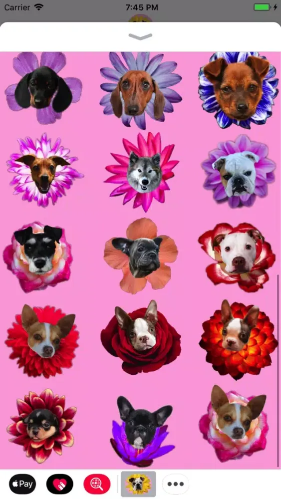 Capturas de pantalla de Puppy Bouquet