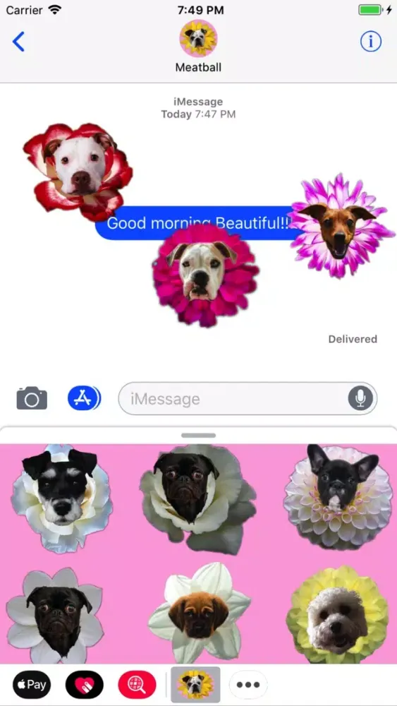 Capturas de pantalla de Puppy Bouquet