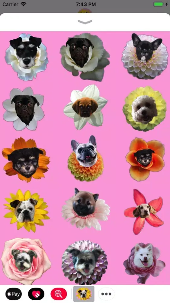 Capturas de pantalla de Puppy Bouquet