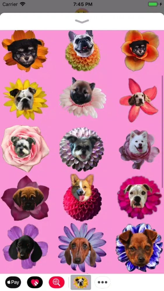 Capturas de pantalla de Puppy Bouquet