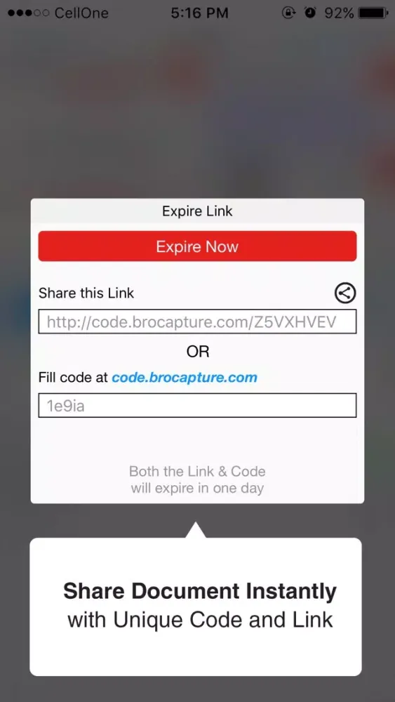 BRO Capture Screenshots