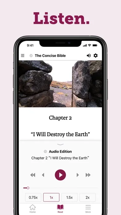 Concise Bible應用截圖