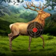 Deer Target Shooting Deer Target Shooting