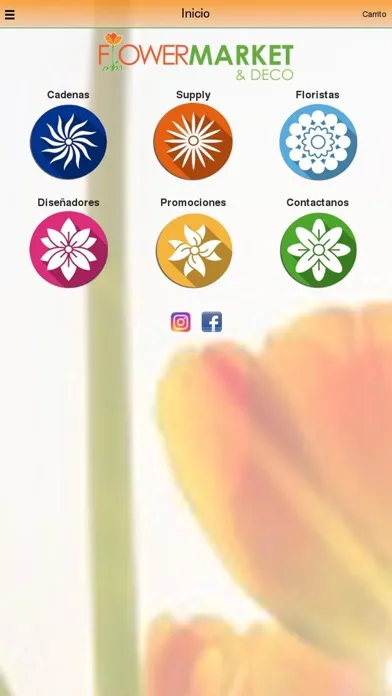 M&M FLOWER MARKET স্ক্রিনশট