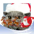 Xmas 2017 Hd Frames - Creative frames Maker