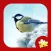 Christmas Jigsaw Puzzle - Mind Game