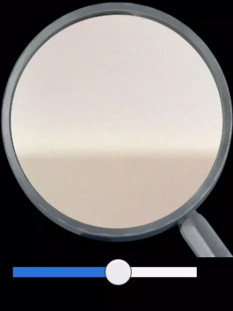Ảnh chụp màn hình của Magnifier iPad 