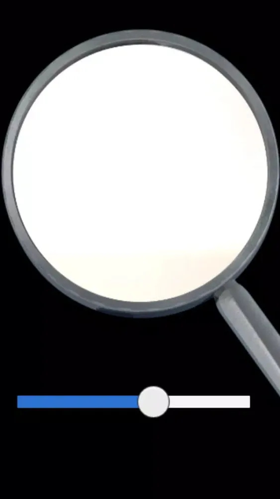 Ảnh chụp màn hình của Magnifier