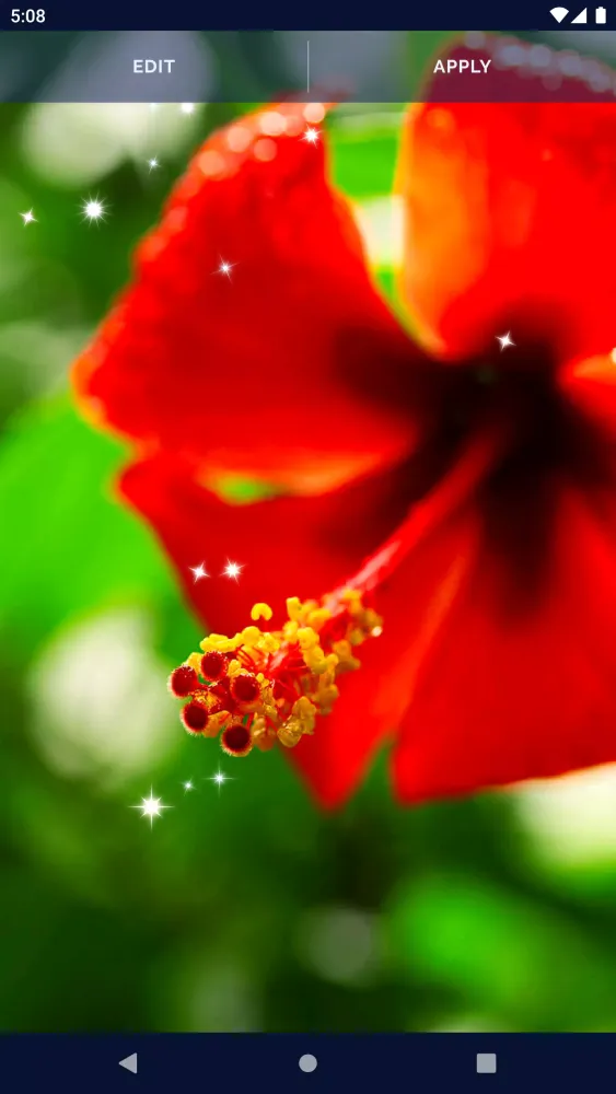 Capturas de tela do Animated Wallpaper For Xiaomi