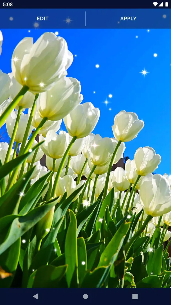 Capturas de tela do Animated Wallpaper For Xiaomi