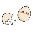 Egg Broken