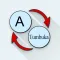 English Tumbuka Translate