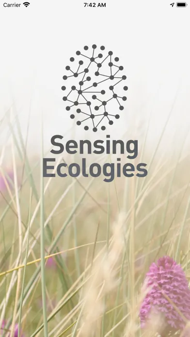 Sensing Ecologies应用截图