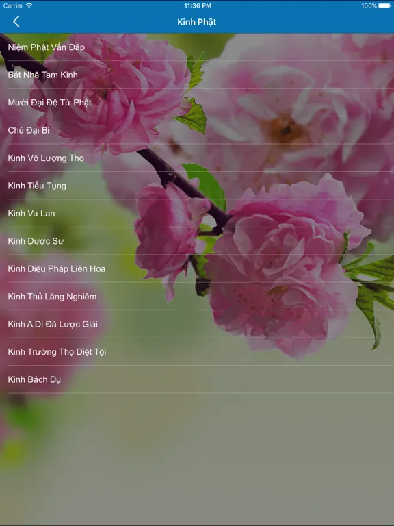 Ảnh chụp màn hình của Truyện Phật - Thơ Phật - Lời Phật - Kinh Phật iPad 