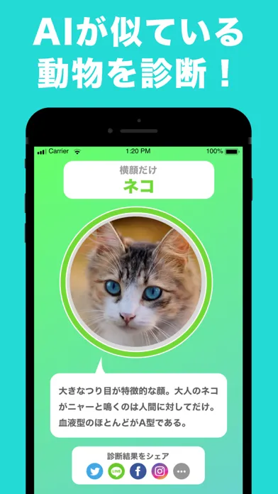 ภาพหน้าจอของ 似てる動物を診断 顔診断アプリ どうぶつカメラ! 動物顔診断