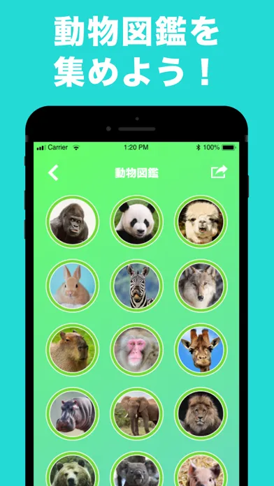 ภาพหน้าจอของ 似てる動物を診断 顔診断アプリ どうぶつカメラ! 動物顔診断