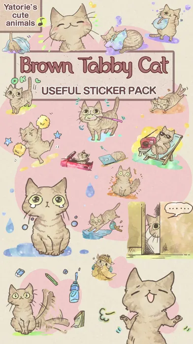 تصاویر Brown Tabby Cat