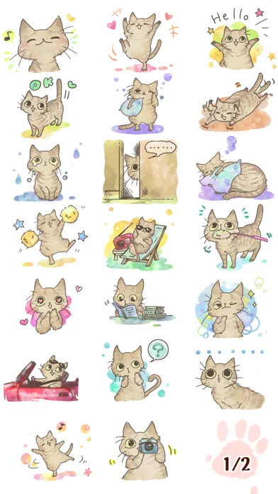 تصاویر Brown Tabby Cat