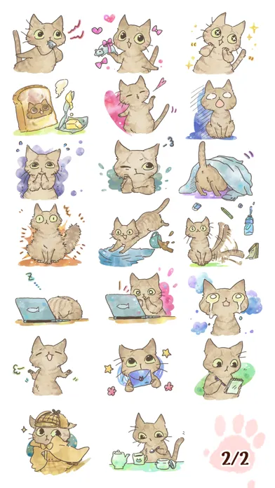 تصاویر Brown Tabby Cat