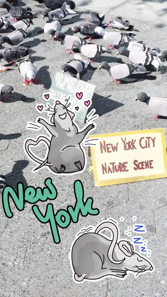 New York Rats by Yeah Bunny應用截圖