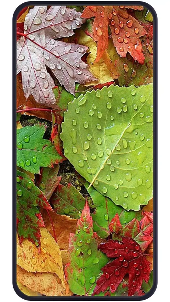 Tangkapan layar Theme for Huawei Honor 9X Pro