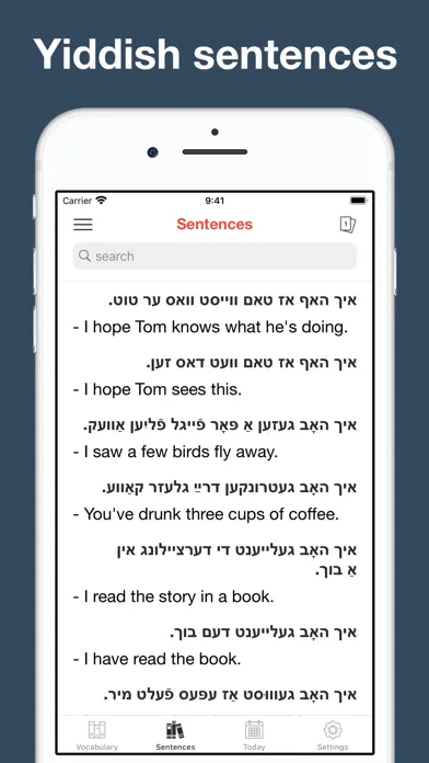 Captures d'écran de Yiddish vocabulary & sentences