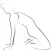 Yin Yoga Timer