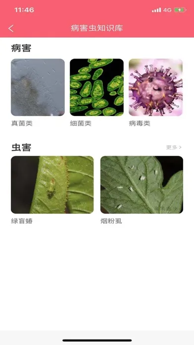 樱桃医生 سکرین شاٹس