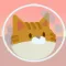Cat Harpoon