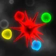 Bio Domination