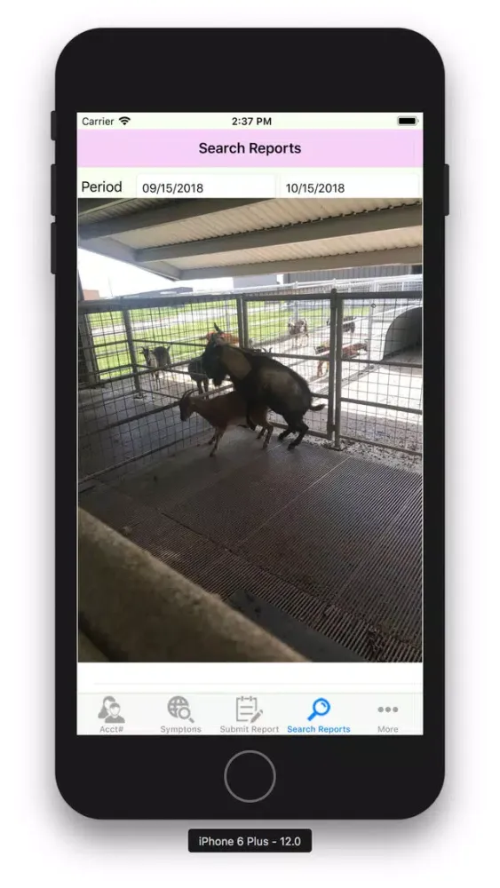 VetLink应用截图